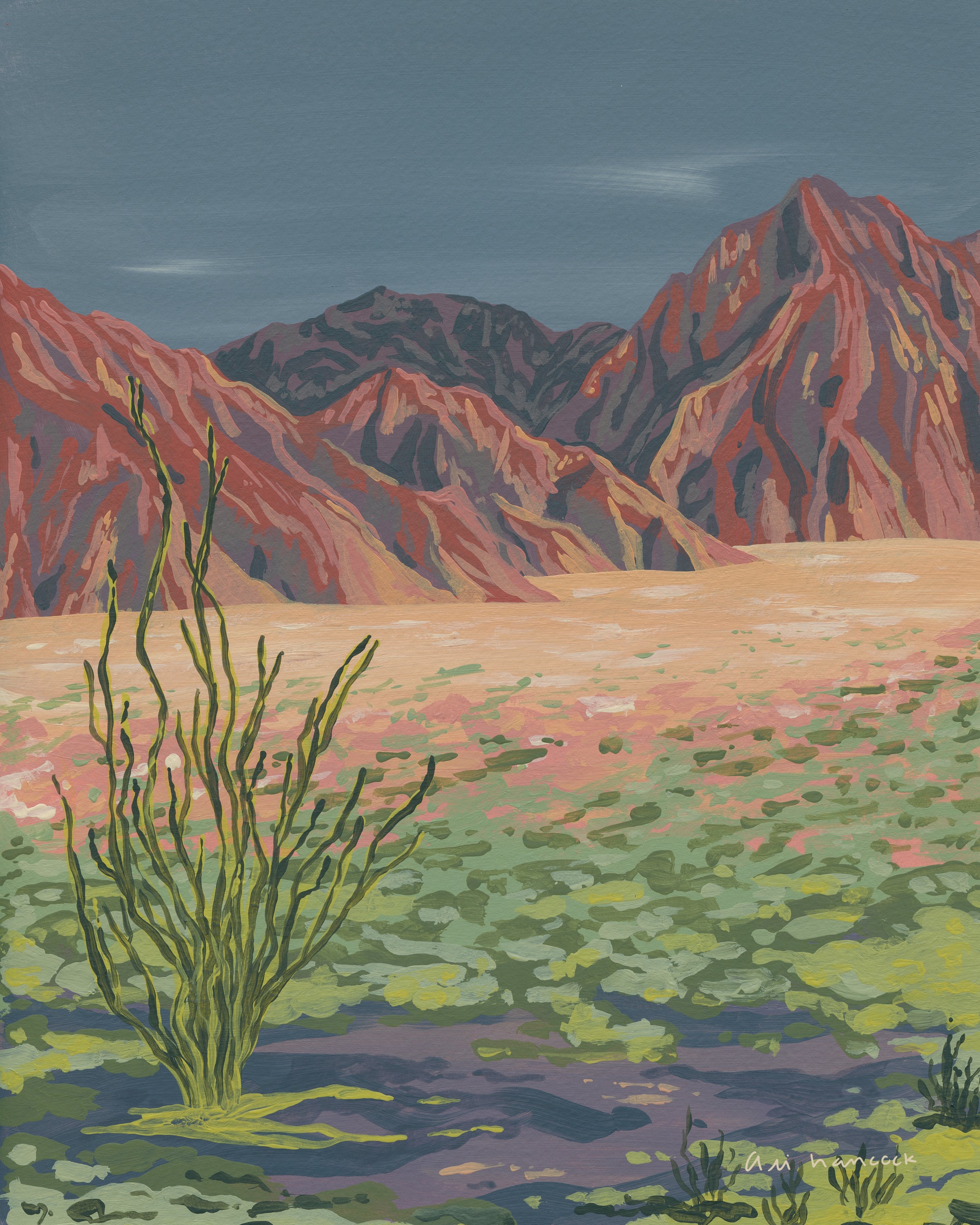Anza Borrego